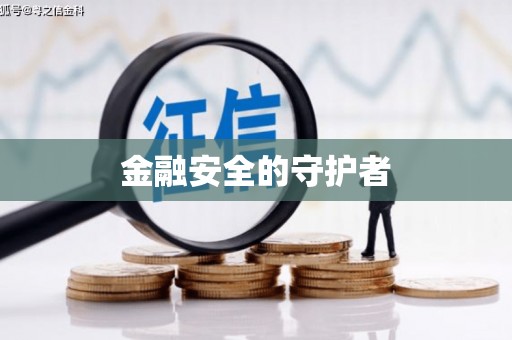 林州金融安全的守护者