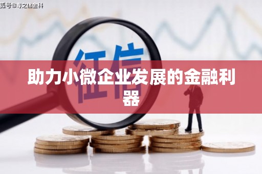 林州助力小微企业发展的金融利器