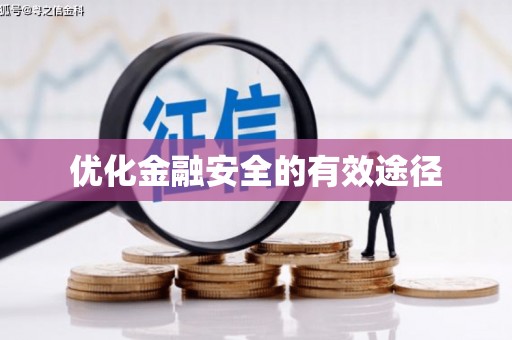 林州优化金融安全的有效途径