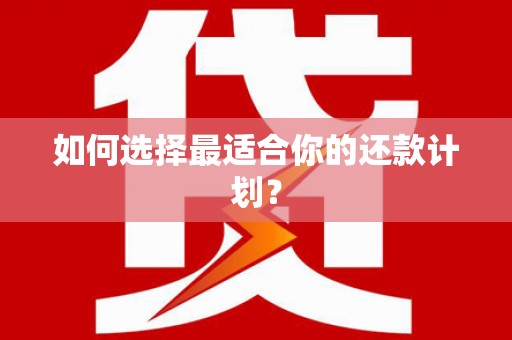 林州如何选择最适合你的还款计划？