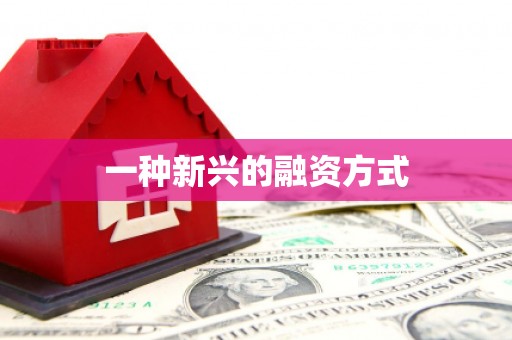 林州一种新兴的融资方式