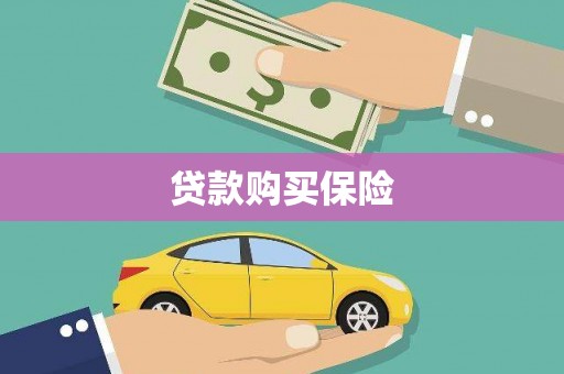林州贷款购买保险
