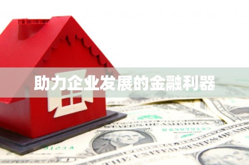 林州助力企业发展的金融利器