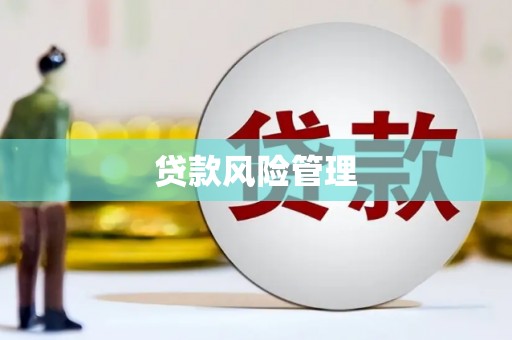 林州贷款风险管理