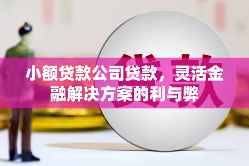 林州小额贷款公司贷款，灵活金融解决方案的利与弊