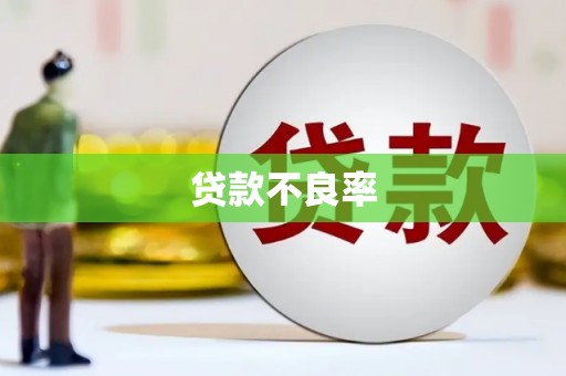 林州贷款不良率